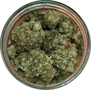 Acheter Amnesia Haze