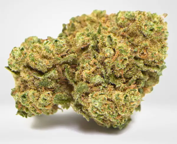 Acheter Amnesia Haze