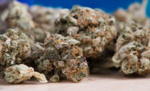 Fleur THC