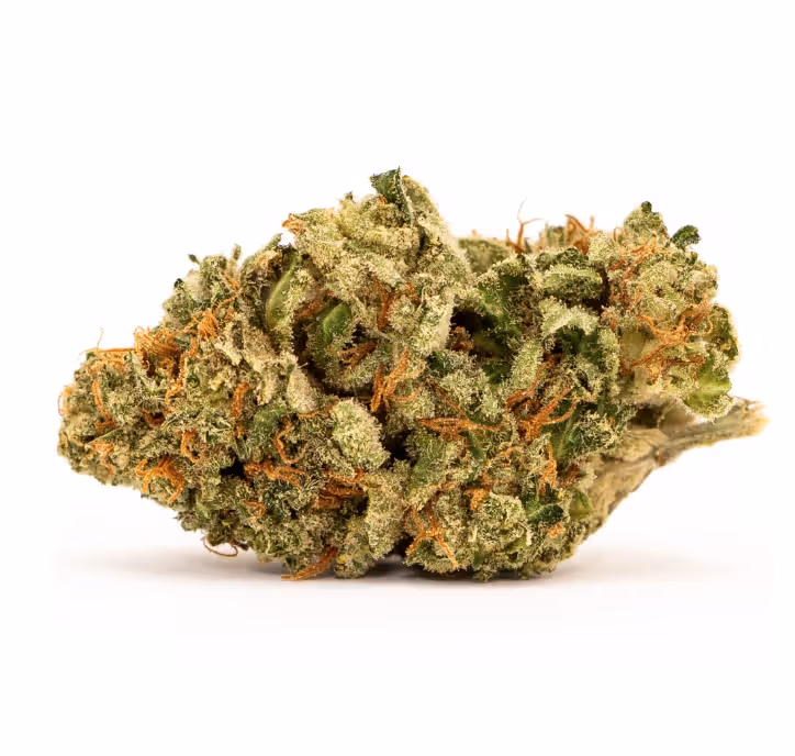 Acheter White Widow