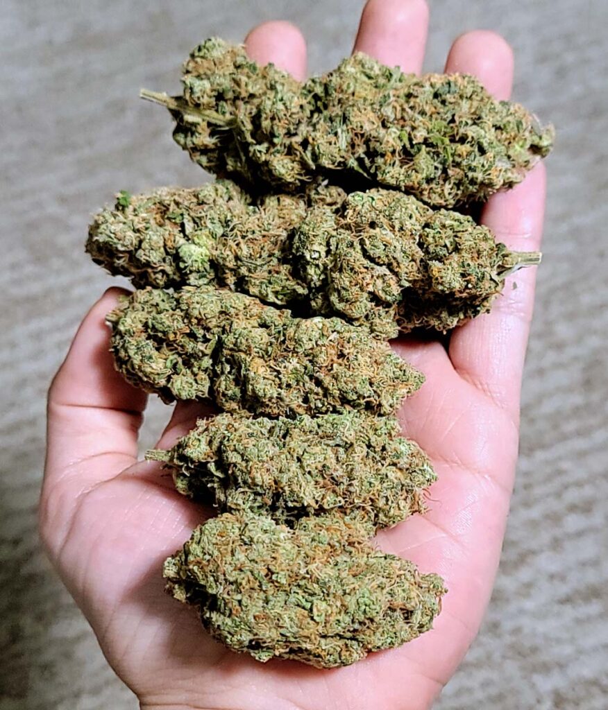 acheter du cannabis